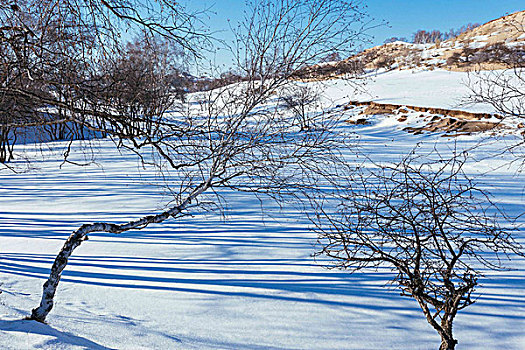 冬季雪地风光