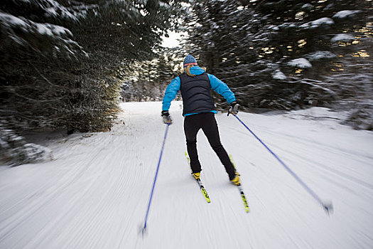 女人,北欧滑雪,滑雪,小路,冬天,靠近,本垒打,肯奈半岛,阿拉斯加