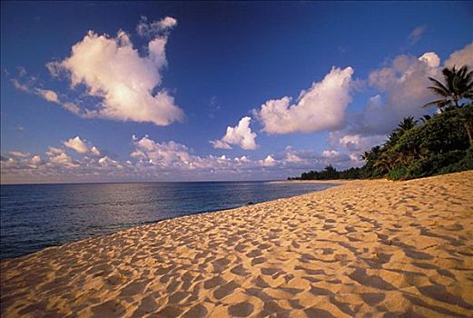夏威夷,瓦胡岛,日落海滩,温暖,亮光,度假,沙子,脚印