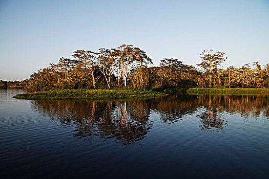 亚马逊雨林,河,厄瓜多尔
