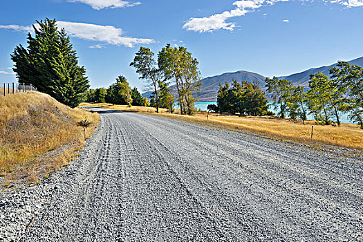 道路,靠近,湖,夏天,新西兰