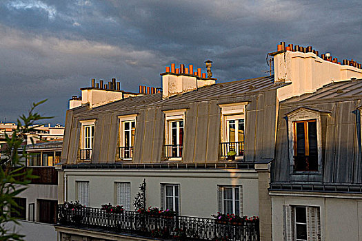 法国,巴黎,郡,屋顶