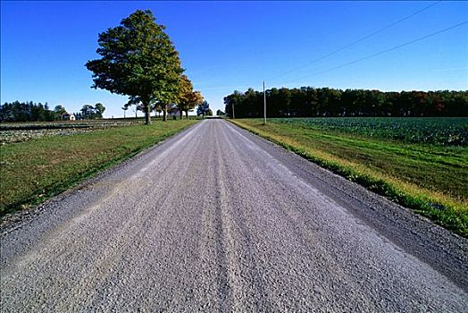 乡村道路,安大略省,加拿大
