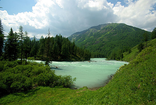 漂亮,山景,靠近,湖,高山湖,山地,水,山谷