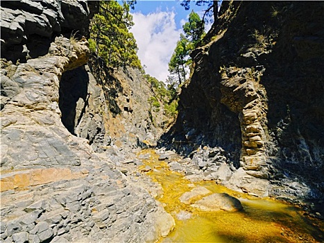 火山口,国家公园,帕尔玛