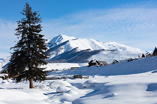 喀纳斯雪景,雪域风光