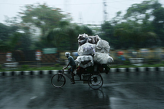 人力车,雨,达卡,孟加拉,五月,2008年