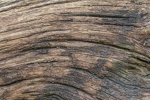 裂缝状,木头,表面