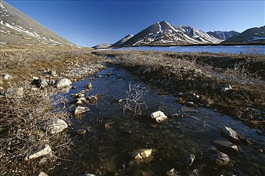 河流,上方,苔原,北极国家野生动物保护区,阿拉斯加