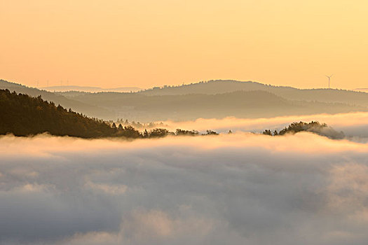 雾,环,河,风景,迈特拉赫,萨尔州,德国