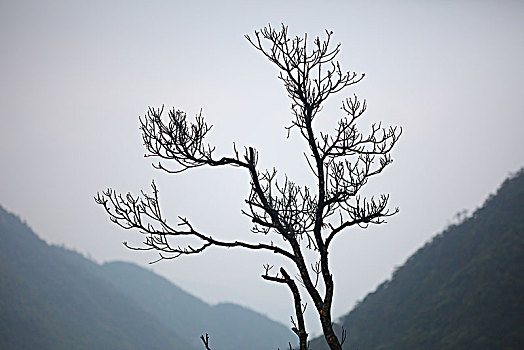 三清山