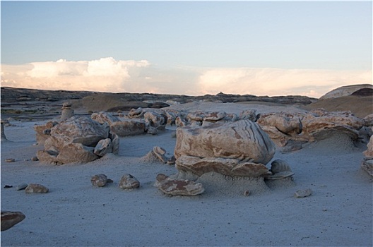 荒地,自然荒野区,新墨西哥,美国