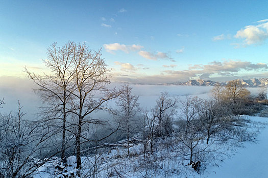 冬天,北海道,日本