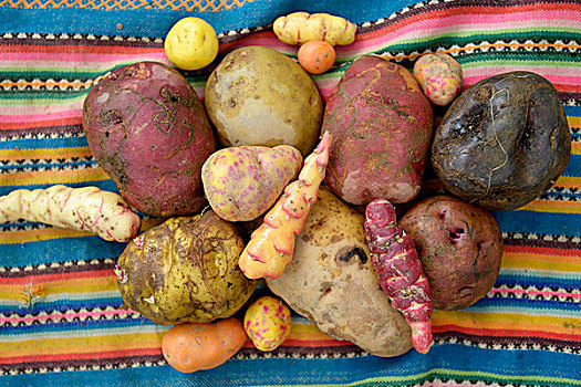 土豆,山药,传统,安第斯,农产品,省,秘鲁,南美,慈善
