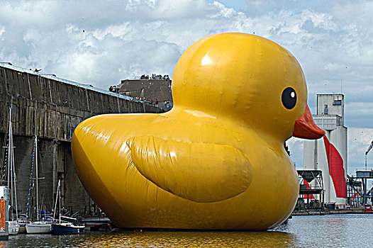 法国,卢瓦尔河地区,大西洋卢瓦尔省,2007年,当代艺术,展示,巨大,橡皮鸭