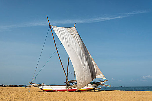 传统,双体船,渔船,白色,帆,沙子,海滩,斯里兰卡,亚洲