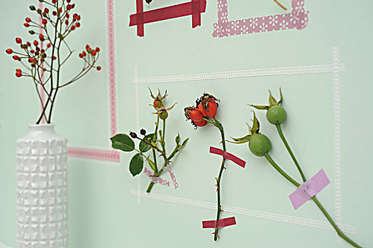画框,带子,嫩枝,野玫瑰果,墙壁