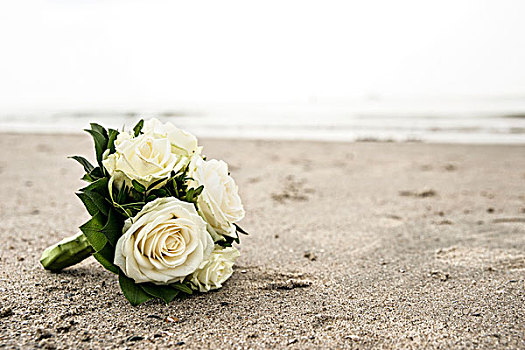 新娘手花,白色,玫瑰,躺着,北海,海滩