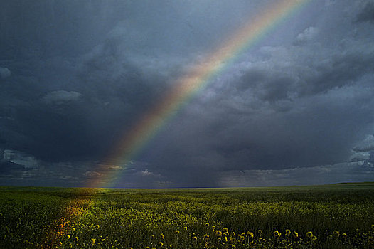 彩虹,上方,地点,萨斯喀彻温,加拿大