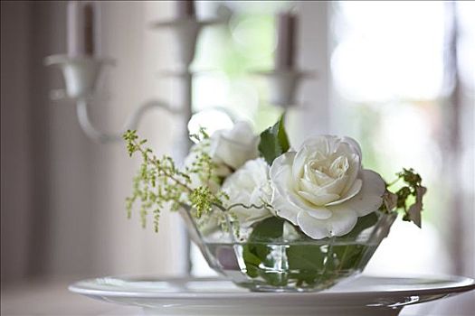 白色蔷薇,花,器具,瑞士