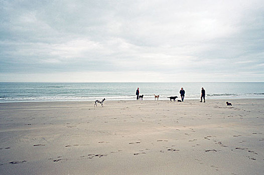 三个人,走,狗,海滩