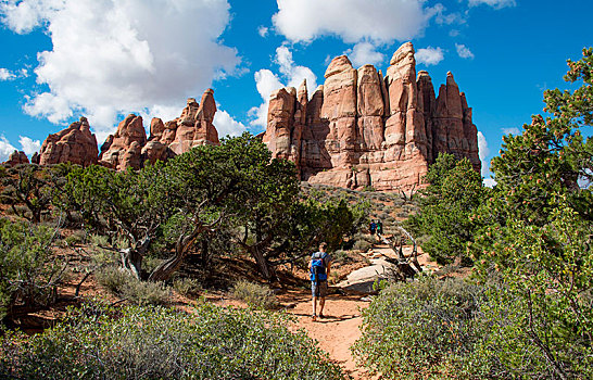 远足,徒步旅行,公园,石头,针,岩石构造,地区,峡谷地国家公园,犹他,美国,北美