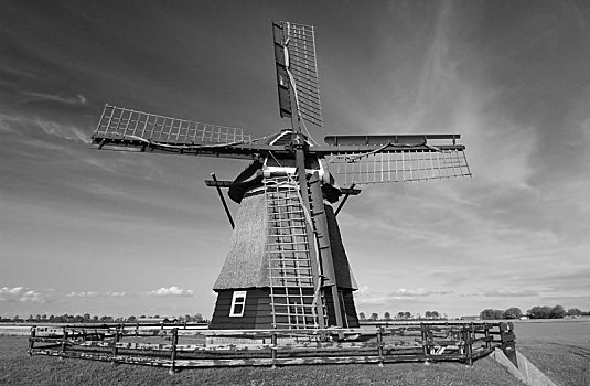 风车,风景,靠近,阿克马镇,北荷兰