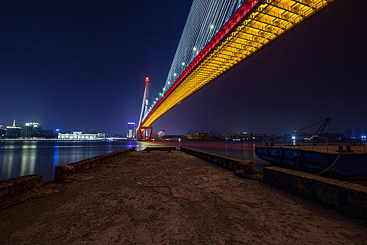 上海杨浦大桥夜景