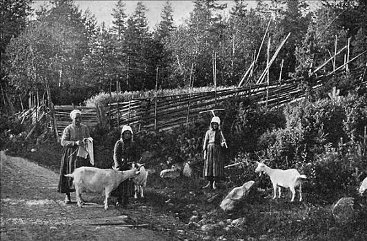 山羊,农事,达拉那,瑞典,艺术家,森林