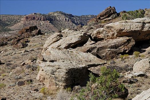 岩石构造,风景,峡谷,科罗拉多,美国