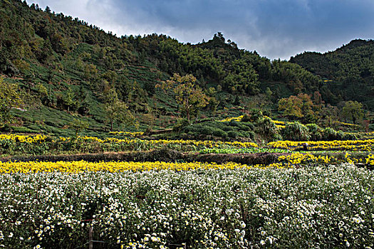 安徽黄山市黟县风光