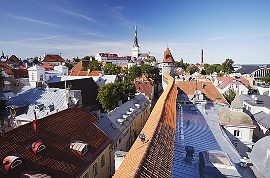 爱沙尼亚,塔林,城镇,城墙,教堂,背景