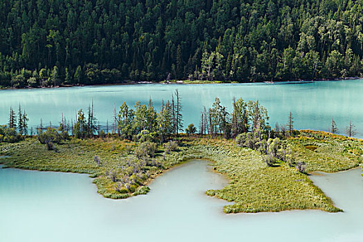 新疆,阿勒泰,喀纳斯湖,自然风景,旅行