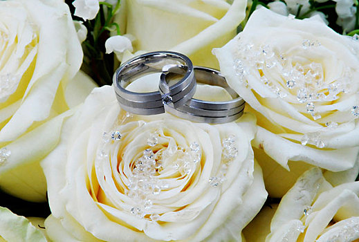 婚礼,白色,玫瑰,晶莹