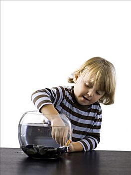 美国,犹他,男孩,2-3岁,接触,金鱼,鱼缸