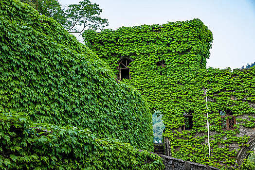 重庆海石公园的翠绿城堡