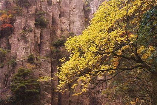 黄山,安徽,中国