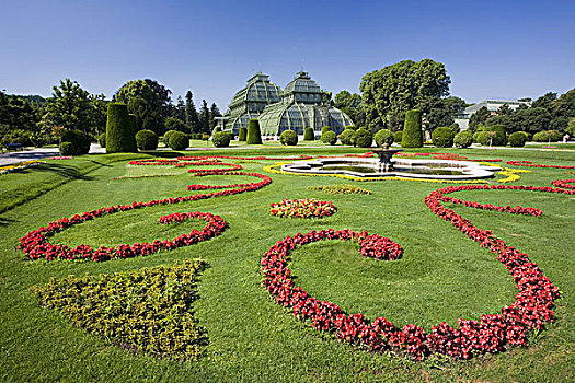 奥地利,维也纳,宫殿,喷泉,公园,全景