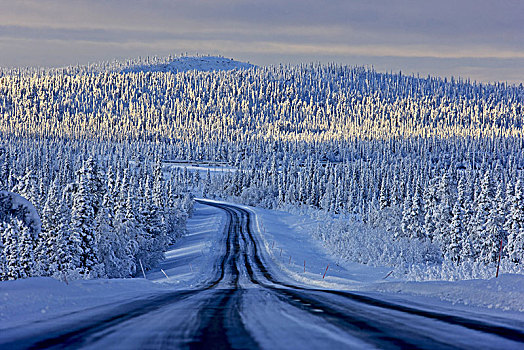 瑞典,拉普兰,耶利瓦勒,冬天,冬季风景