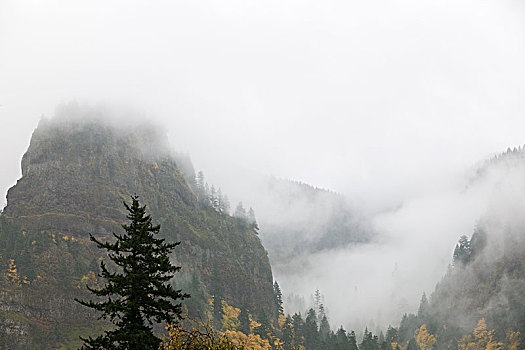 山峰,雾,哥伦比亚河峡谷,俄勒冈,美国