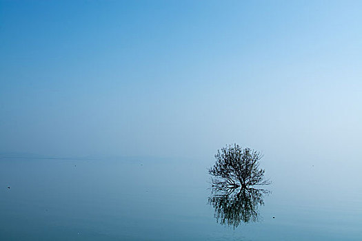 海景