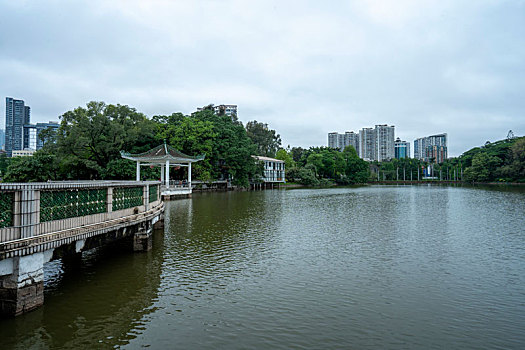 广州2023年春季天河公园雨后即景