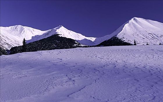 冬季风景,雪原,楚加,基奈