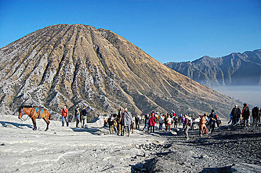 印度尼西亚,爪哇,国家公园,旅游,本地人,马,脚,婆罗摩火山,攀升,背景