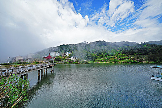 杜鹃花,大别山