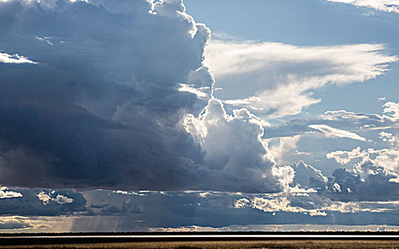 非洲,纳米比亚,埃托沙国家公园,积雨云,上方