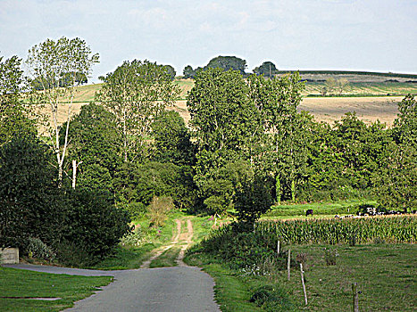 风景,乡间小路