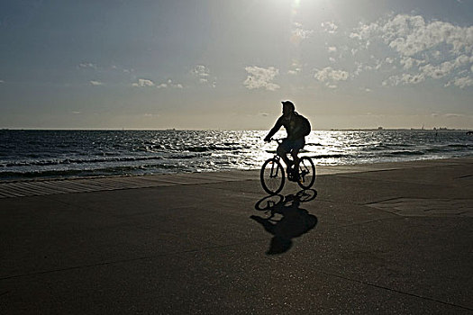 骑自行车,海滩,澳大利亚