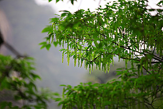 三清山