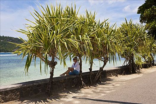 棕榈树,俯视,根部,马埃岛,塞舌尔,印度洋,非洲